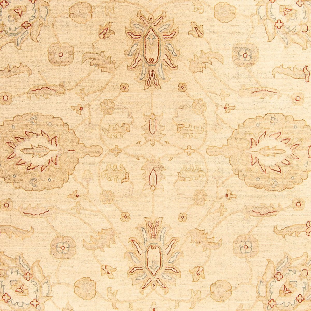 Ziegler Teppich 307 x 212 cm