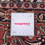 Perserteppich - Bidjar rund  - 300 x 300 cm - rost