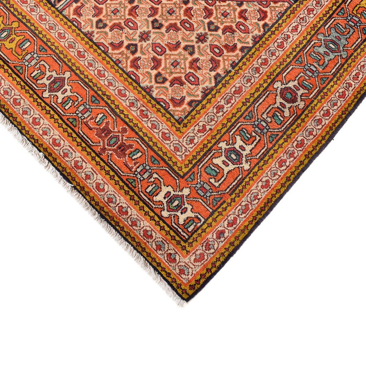 Perserteppich - Bidjar - 393 x 298 cm - dunkelbeige