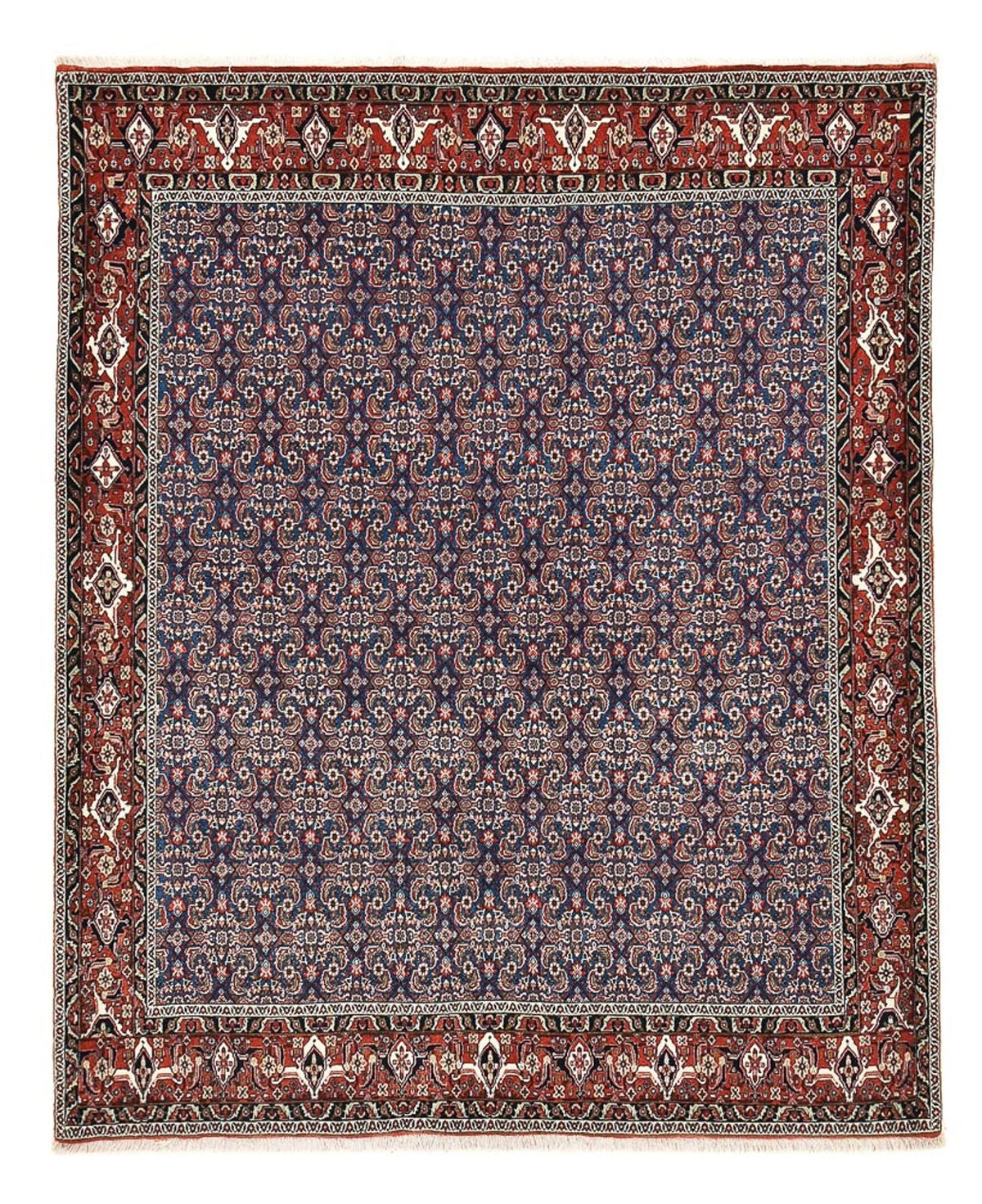 Perserteppich - Bidjar - 246 x 201 cm - lila