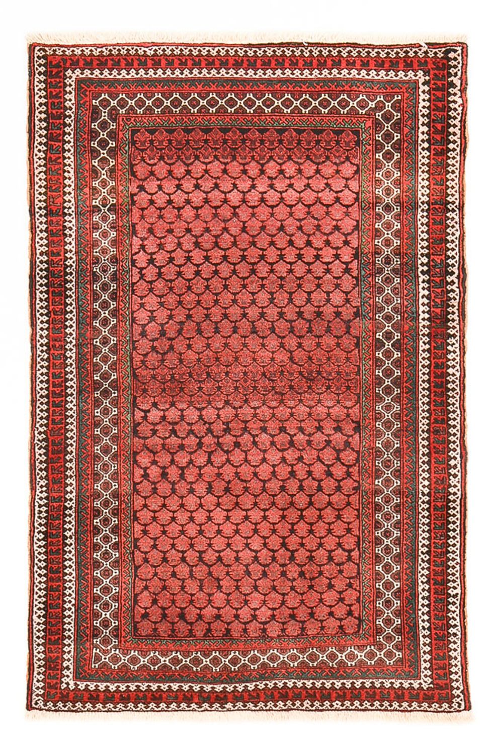 Belutsch Teppich - 141 x 94 cm - rot