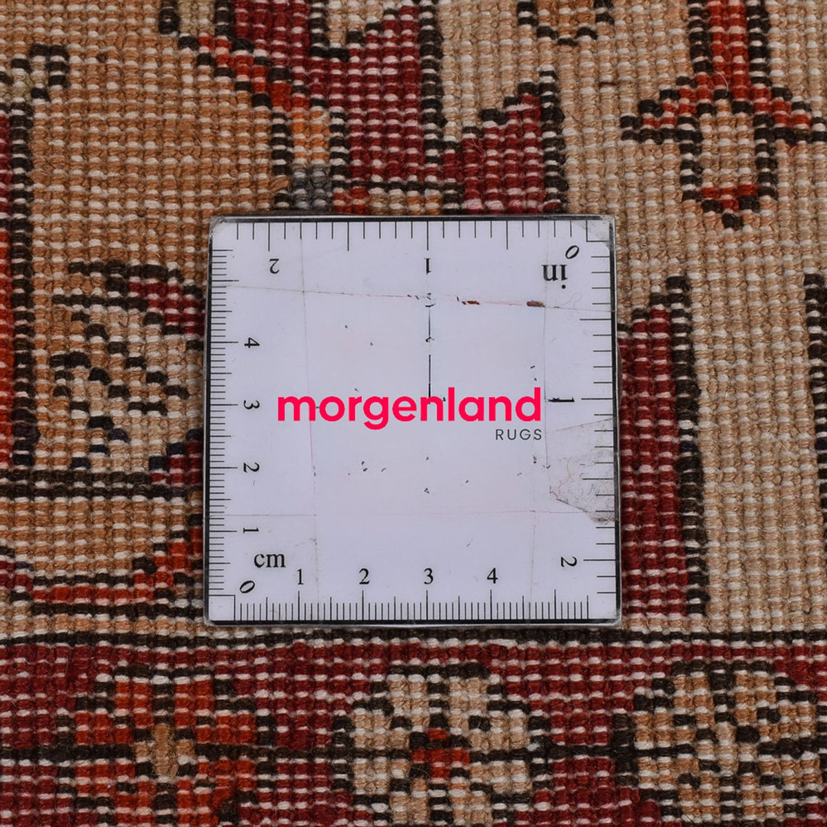 Läufer Perser - Nomadic - 345 x 82 cm - beige