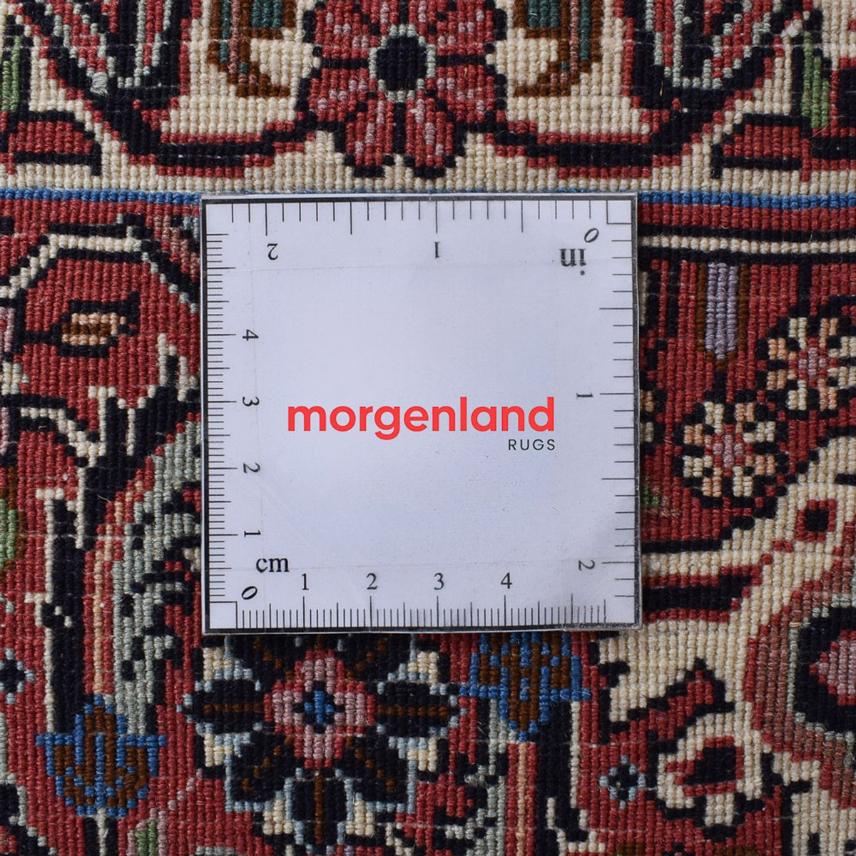 Perserteppich - Bidjar - 305 x 205 cm - rost