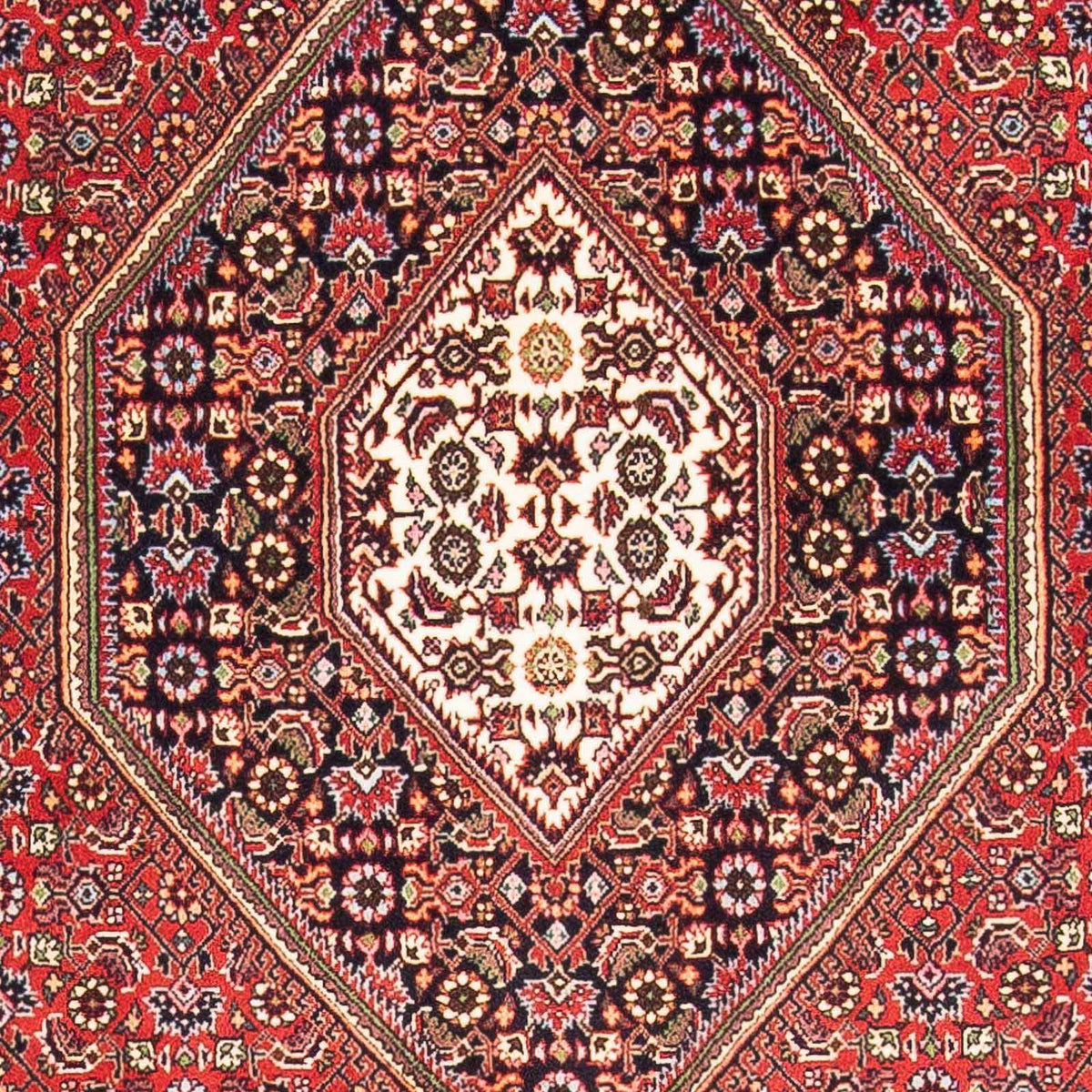 Perserteppich - Bidjar - Royal 175 x 110 cm - rot