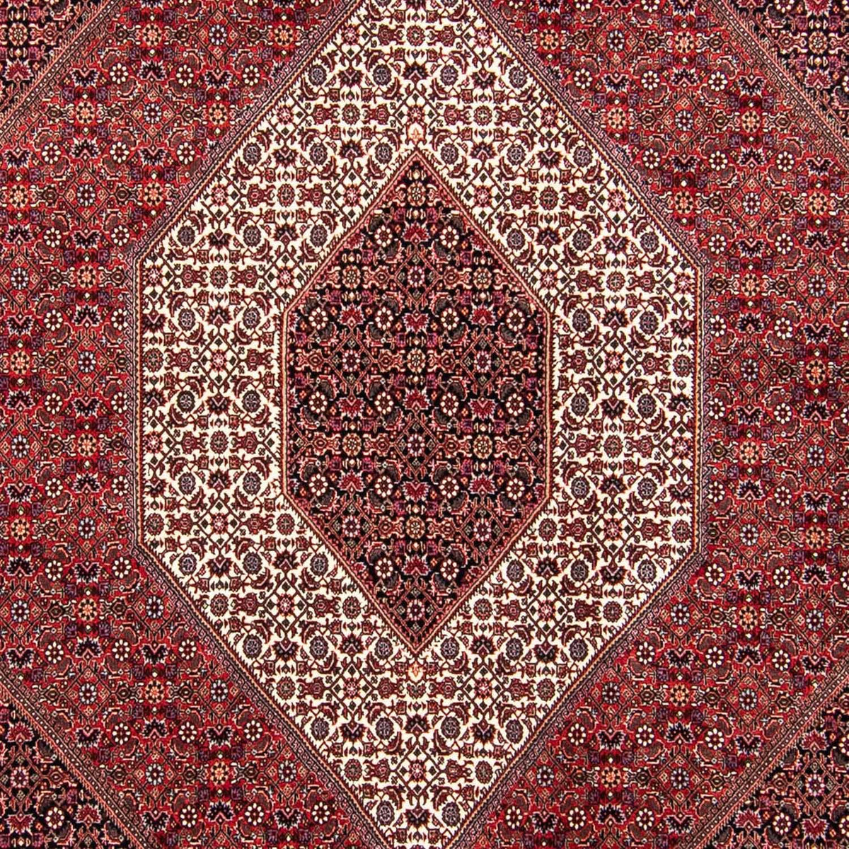 Perserteppich - Bidjar 304 x 250 cm