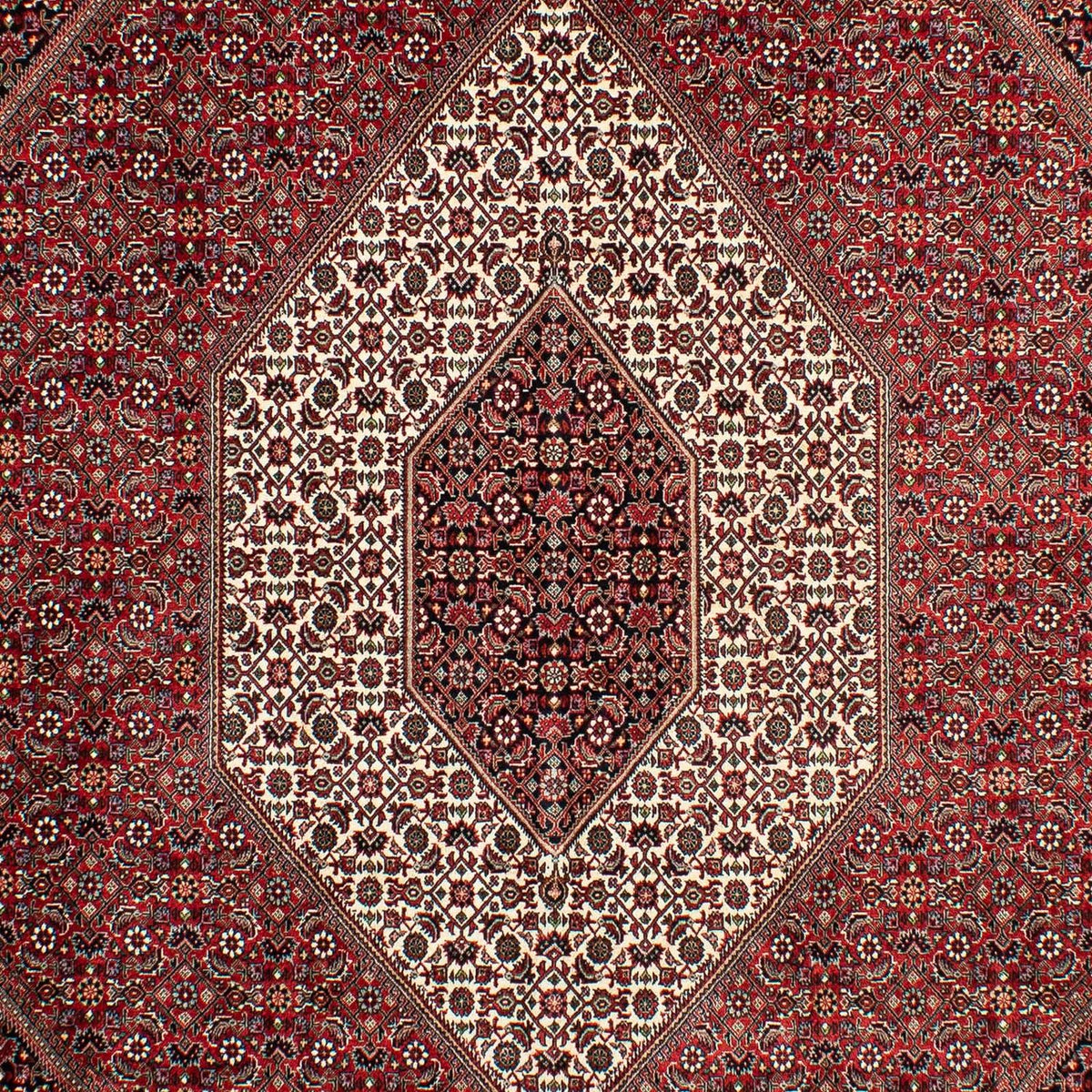 Perserteppich - Bidjar 298 x 200 cm