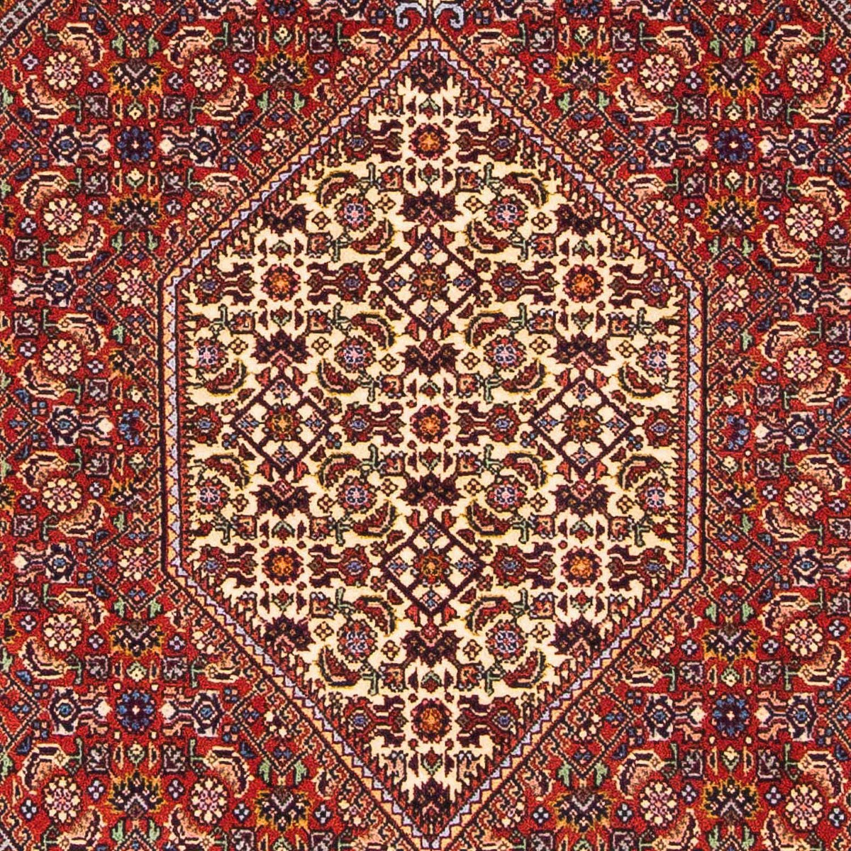 Perserteppich - Bidjar - Royal 168 x 108 cm