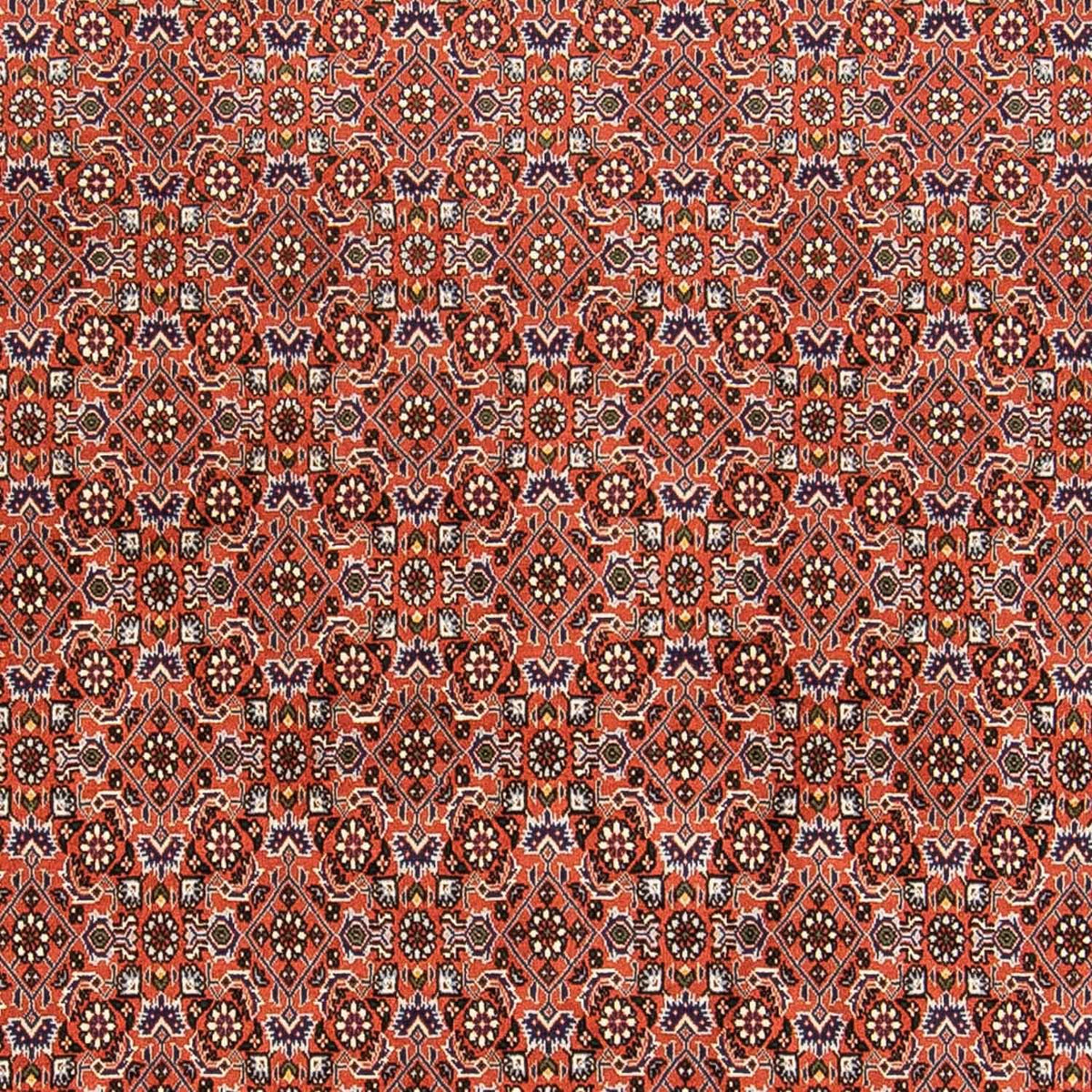 Perserteppich - Bidjar 230 x 168 cm