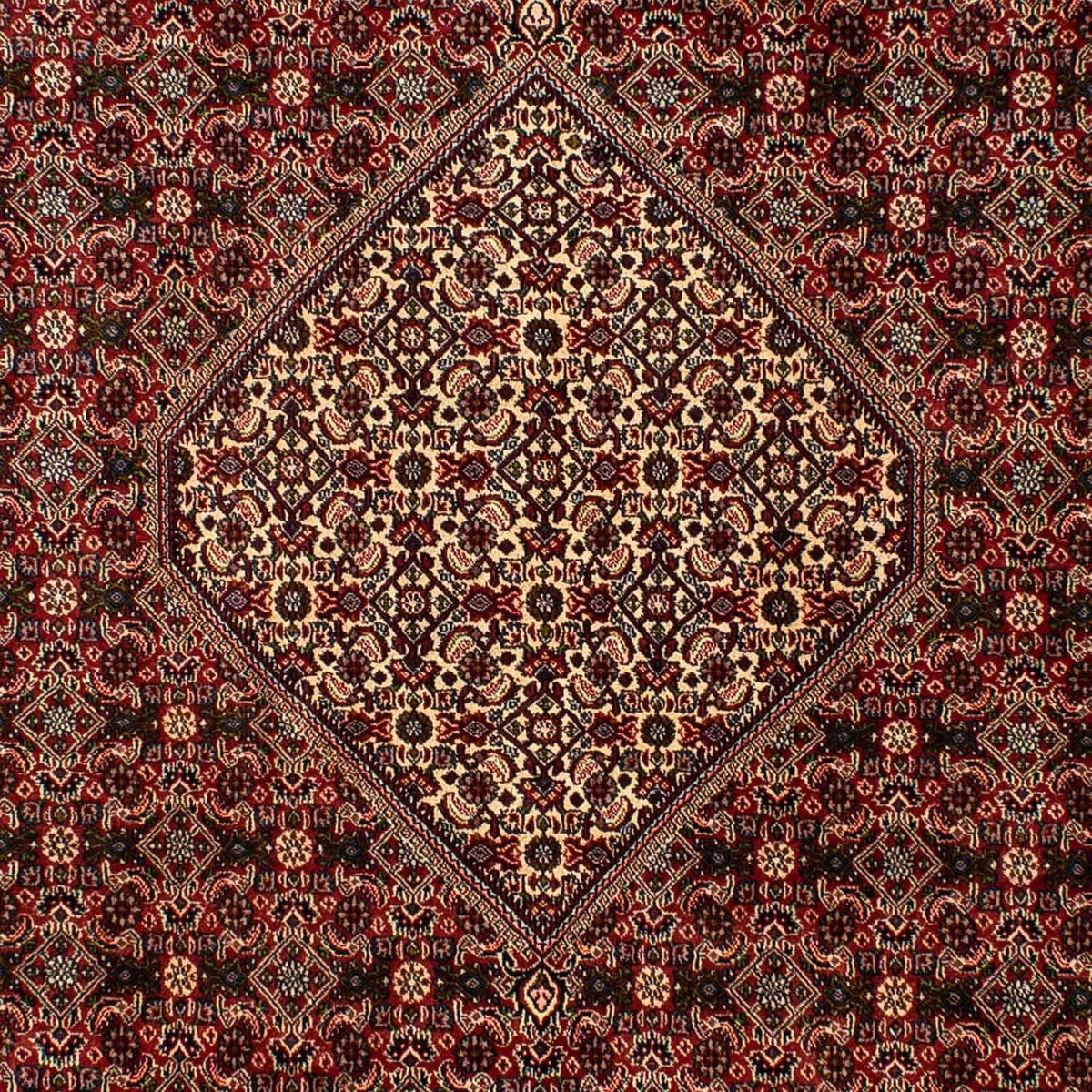 Perserteppich - Bidjar 309 x 197 cm