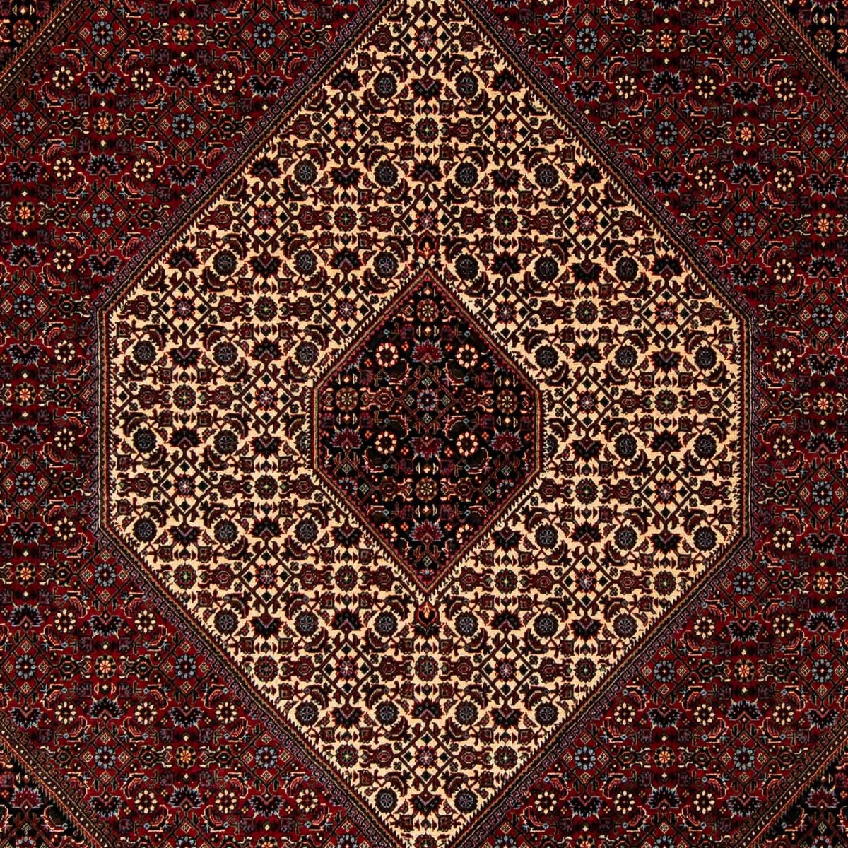 Perserteppich - Bidjar 263 x 204 cm
