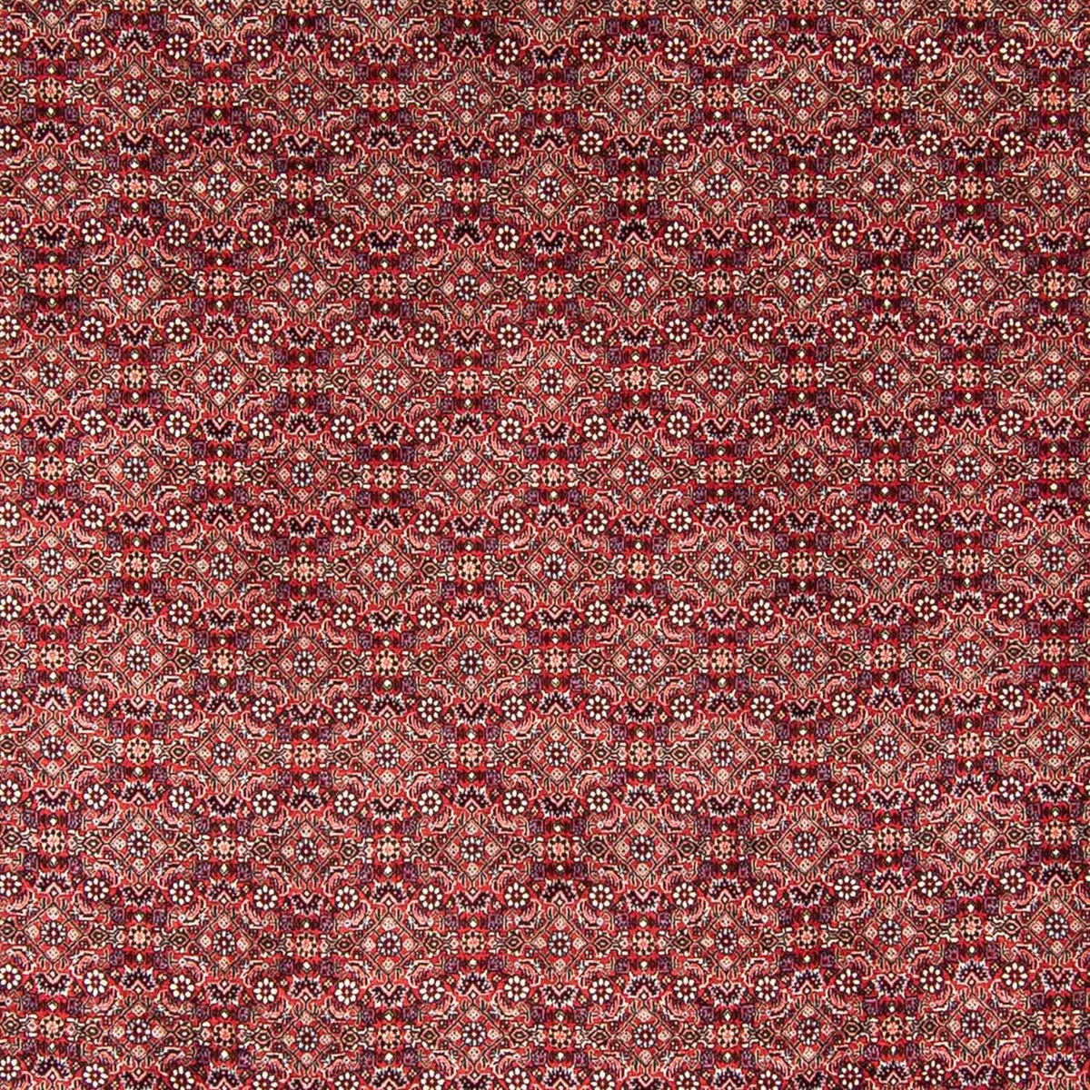 Perserteppich - Bidjar 350 x 246 cm