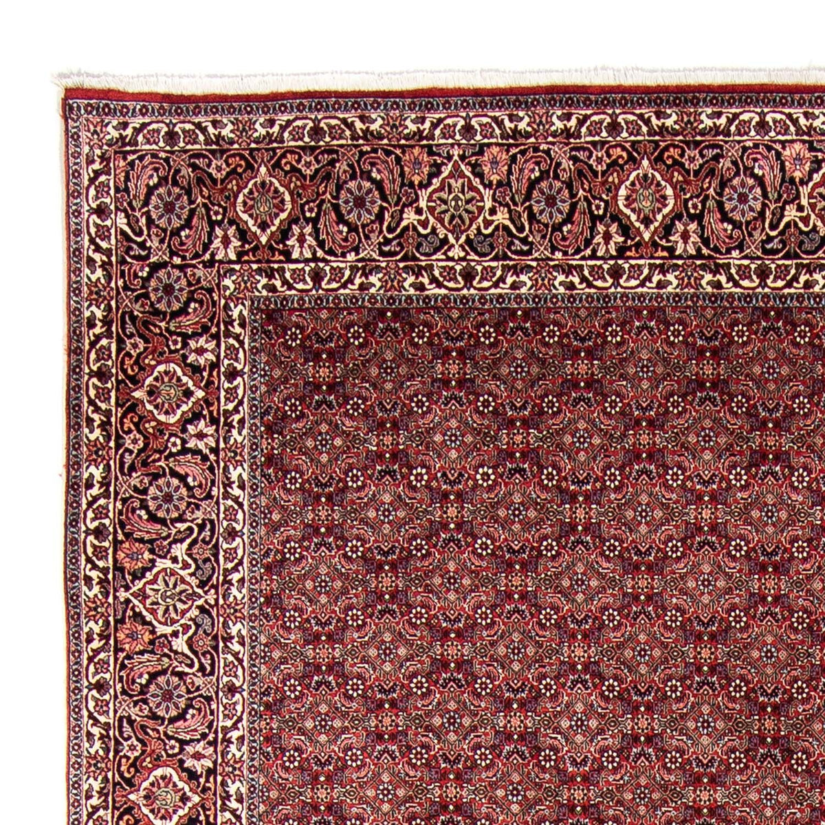 Perserteppich - Bidjar 350 x 246 cm