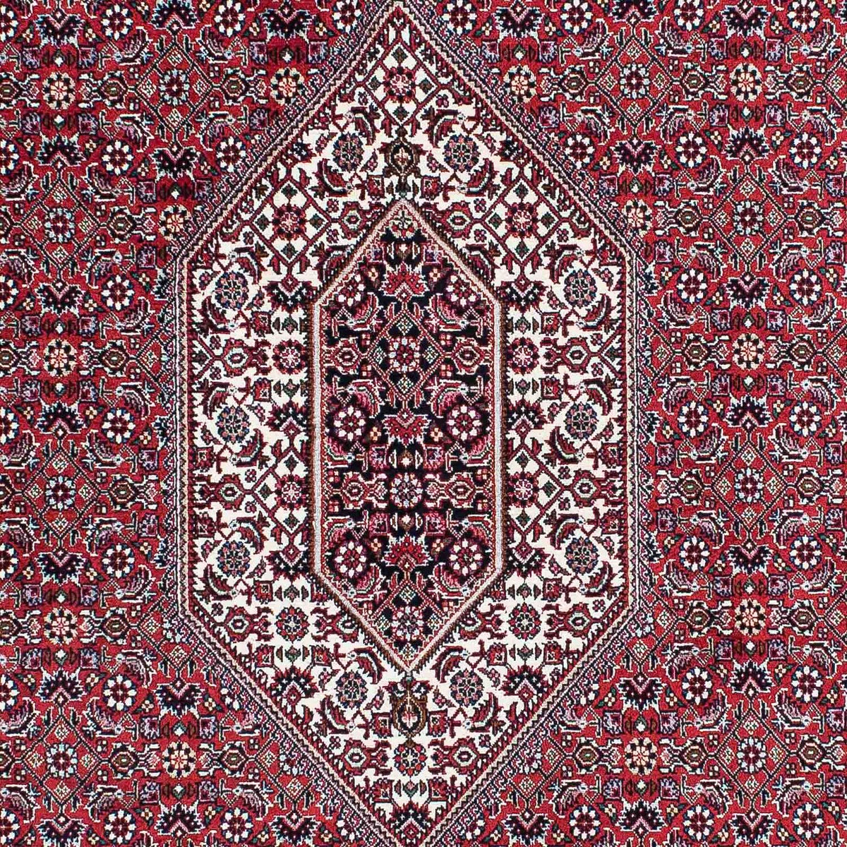 Perserteppich - Bidjar - Royal 210 x 131 cm