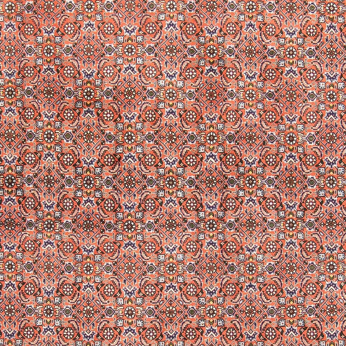 Perserteppich - Bidjar 239 x 168 cm