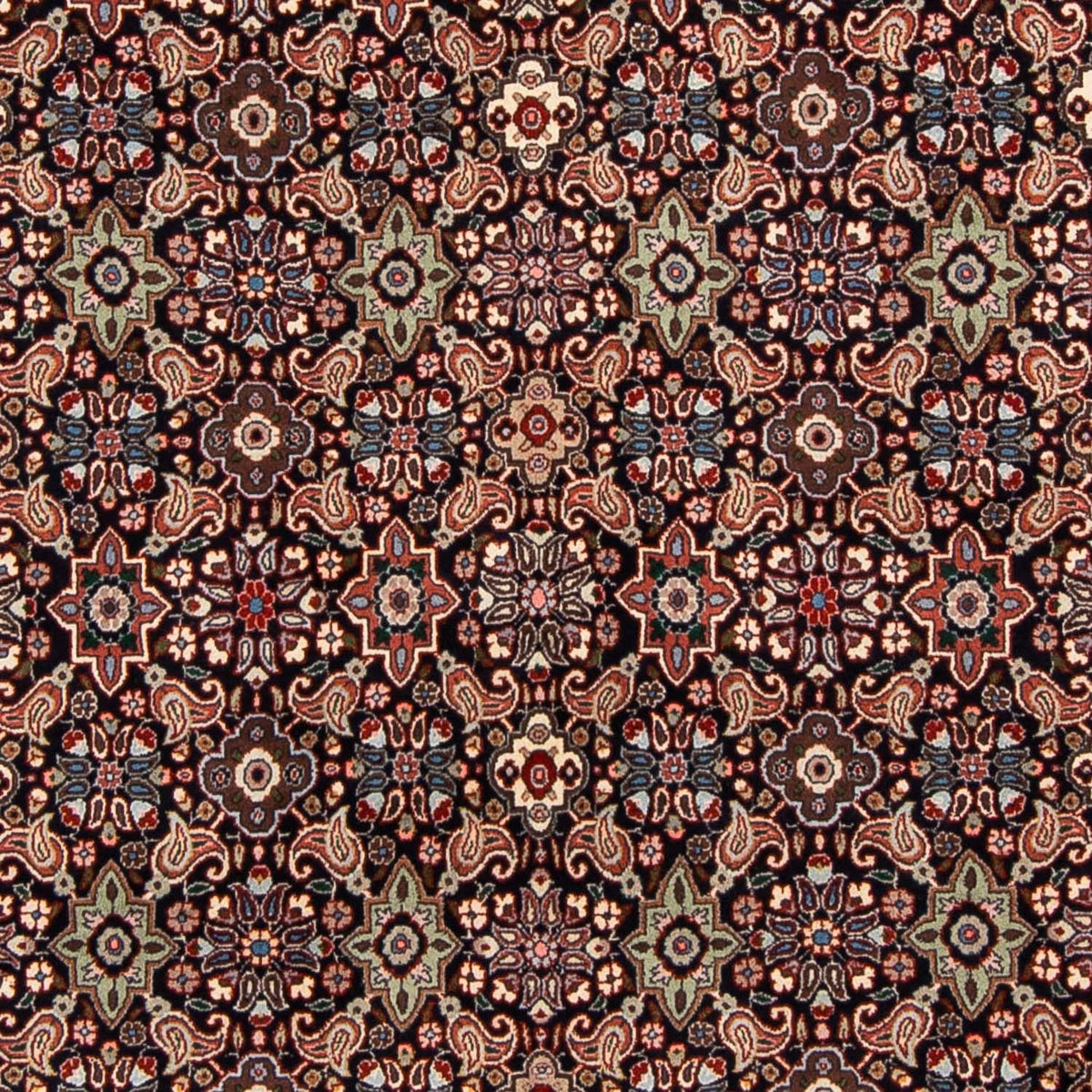 Perserteppich - Bidjar 248 x 168 cm