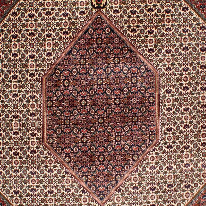 Perserteppich - Bidjar 311 x 208 cm