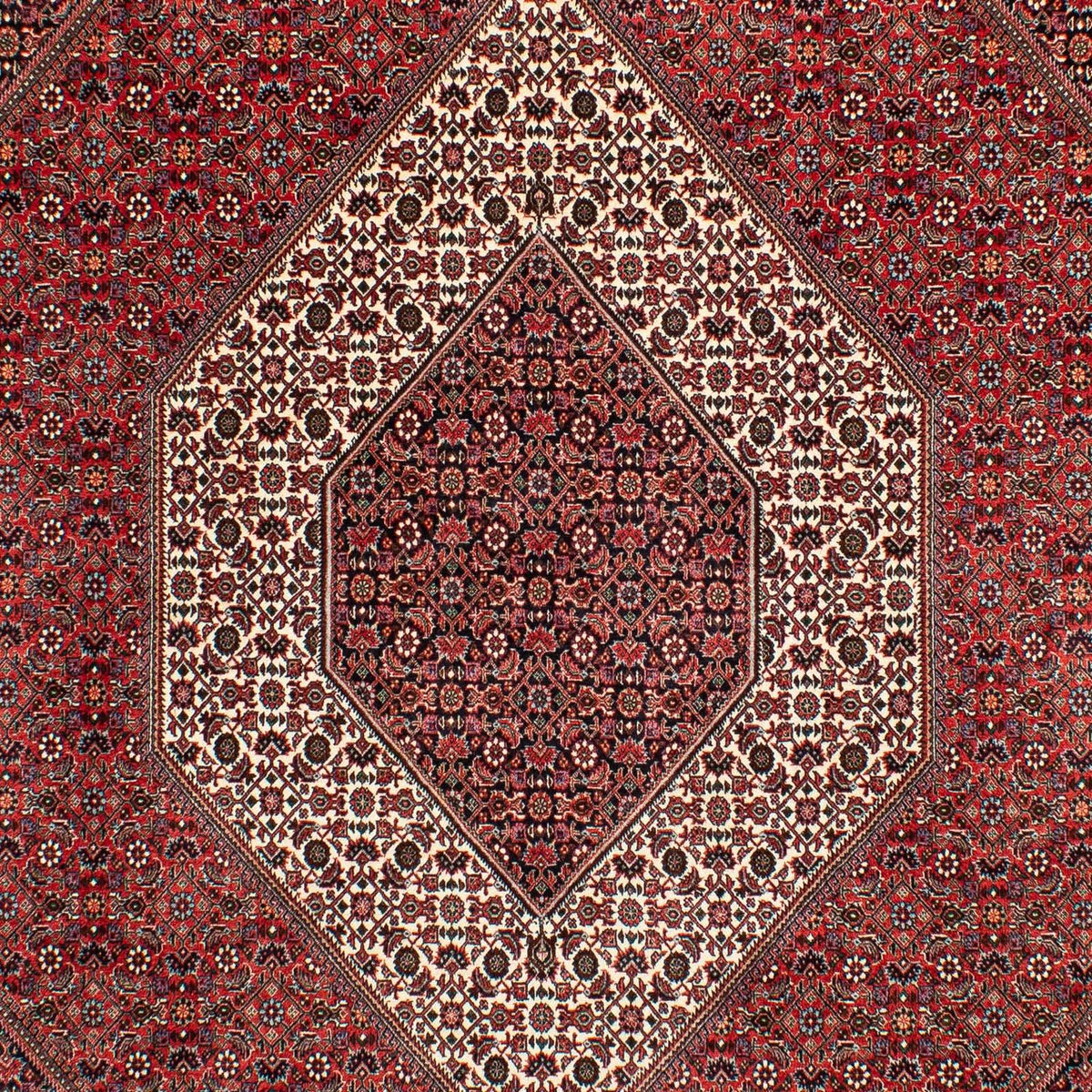 Perserteppich - Bidjar 305 x 203 cm