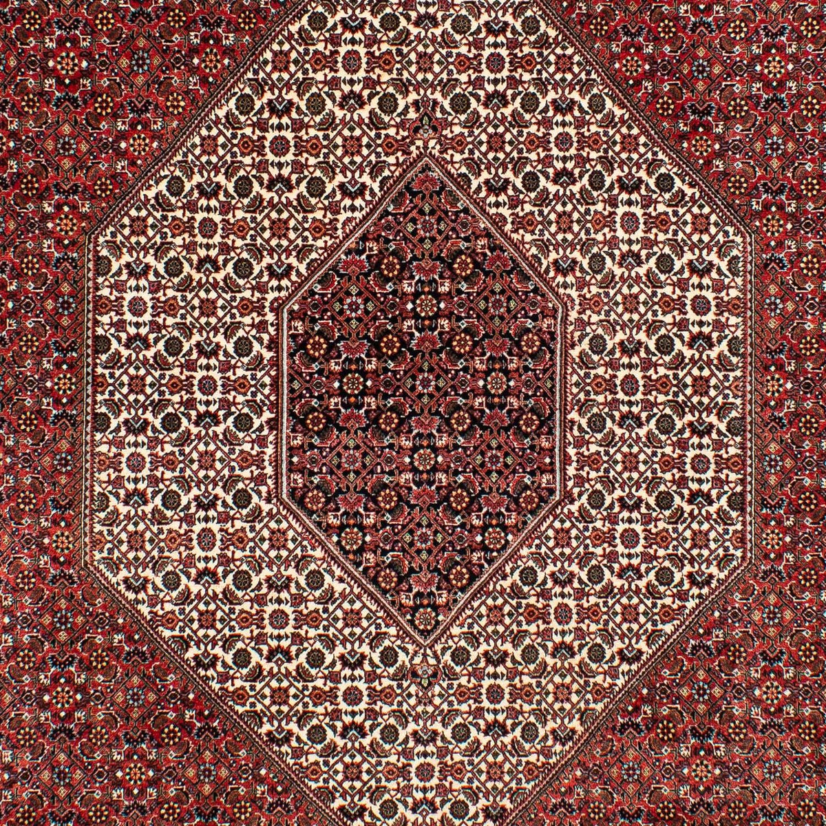 Perserteppich - Bidjar 317 x 201 cm