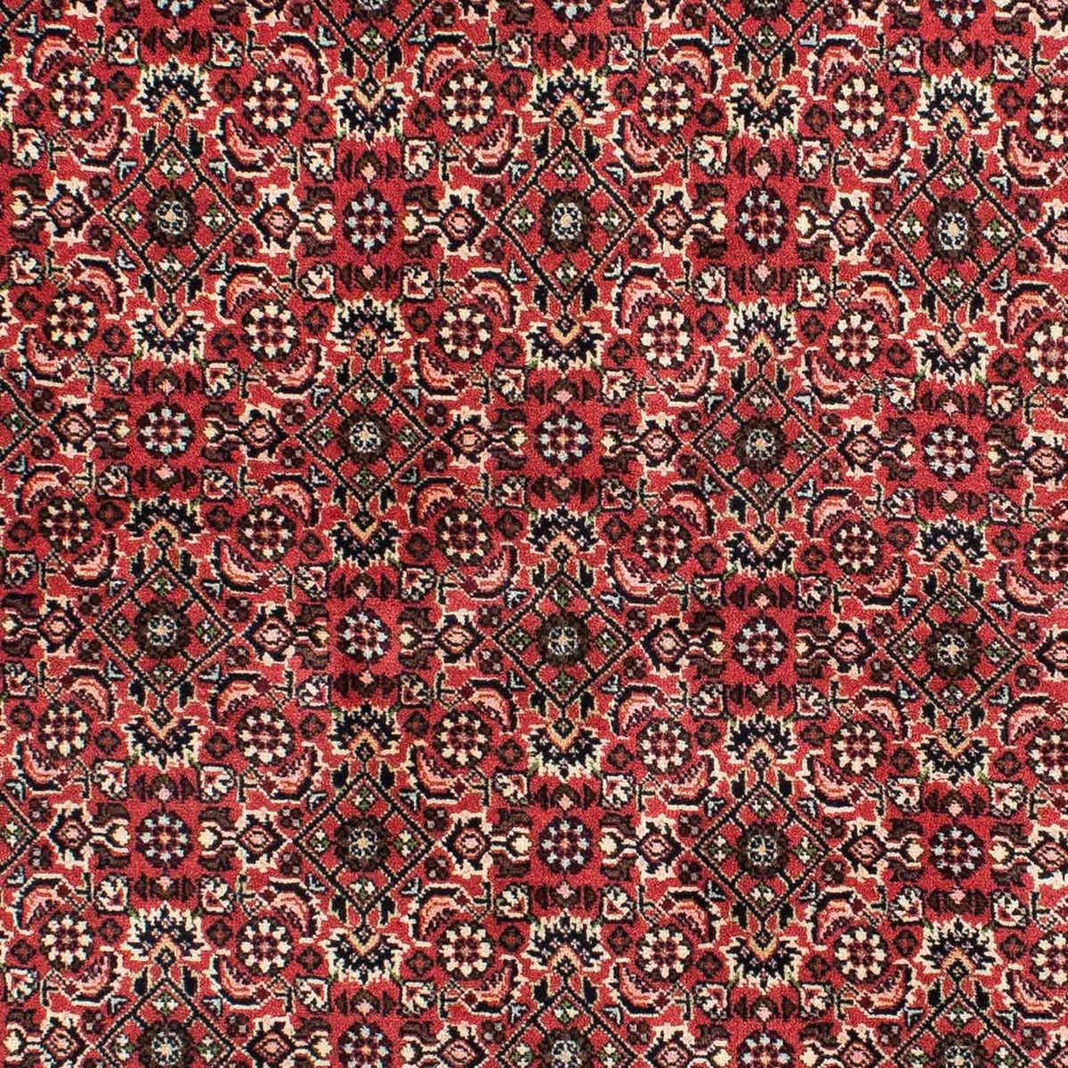 Perserteppich - Bidjar 208 x 139 cm