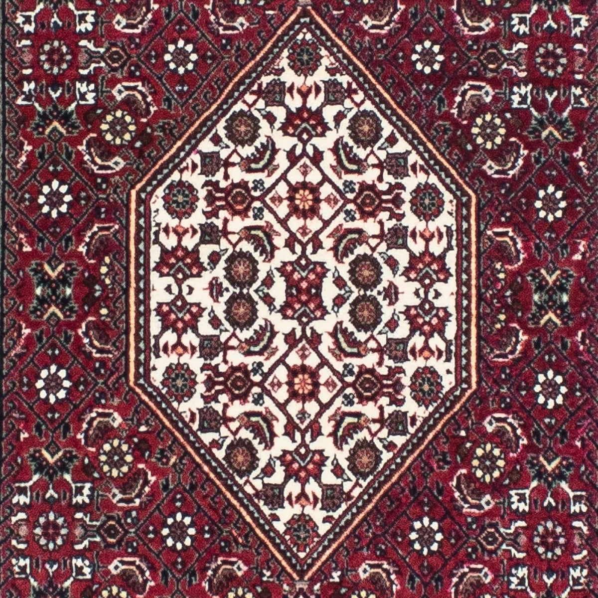 Perserteppich - Bidjar - Royal 248 x 73 cm