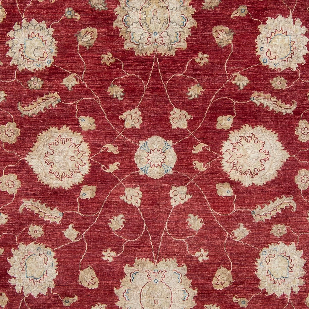 Ziegler Teppich 300 x 238 cm - rot