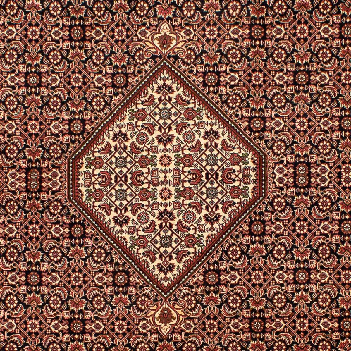 Perserteppich - Bidjar 296 x 198 cm - braun
