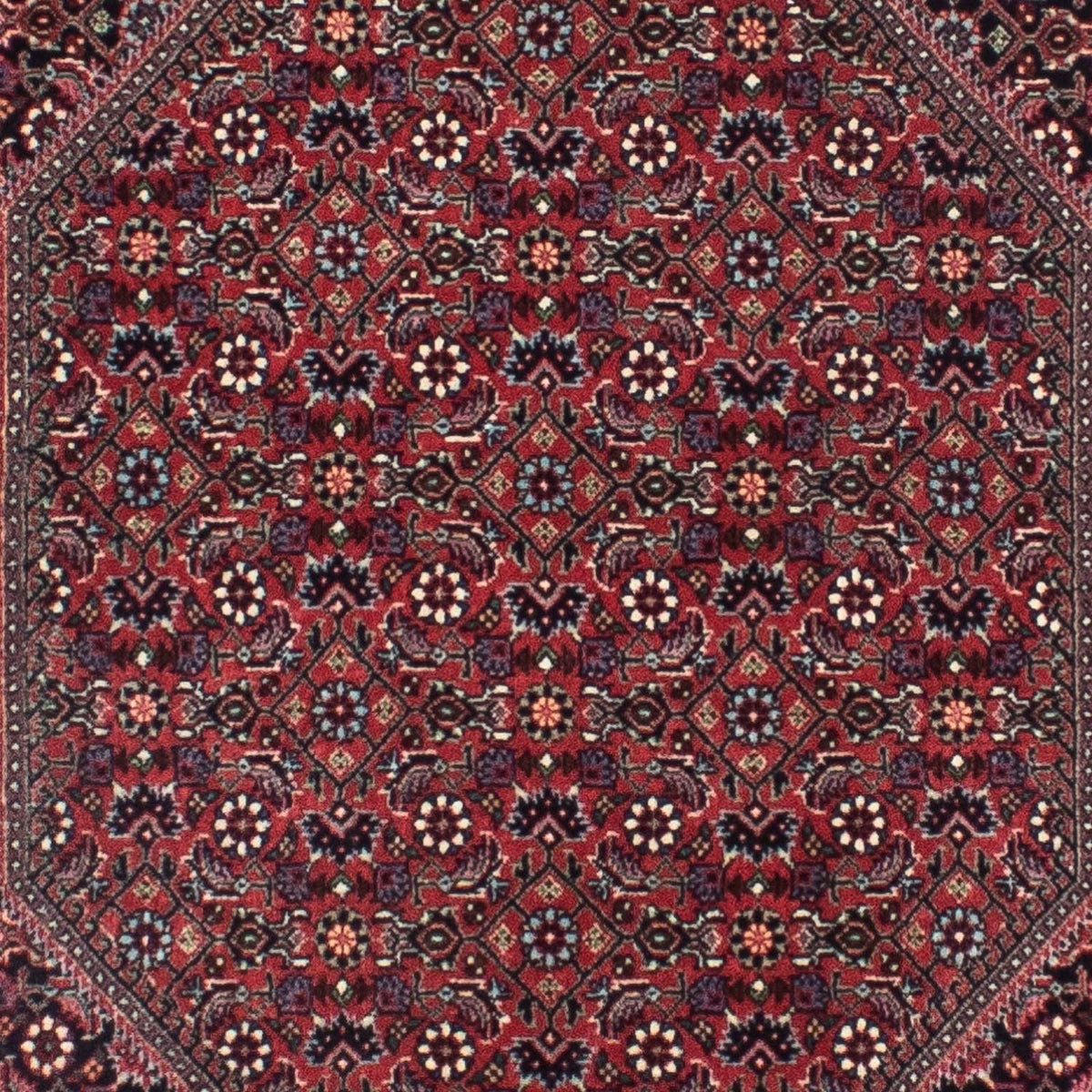 Perserteppich - Bidjar - Royal 313 x 84 cm