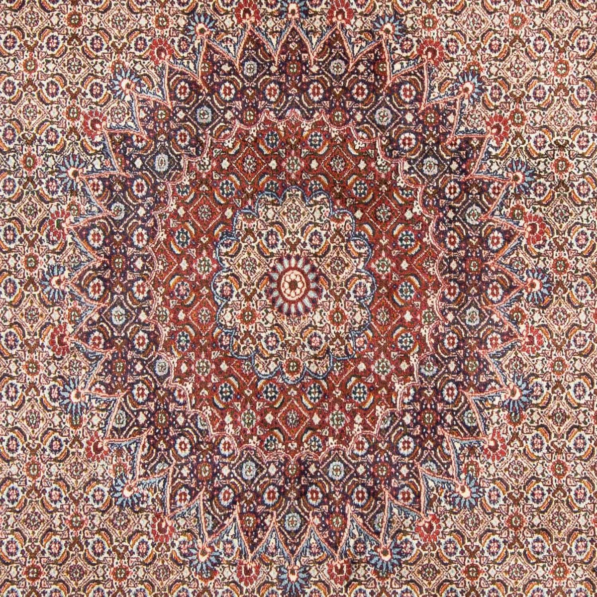 Perserteppich - Classic 300 x 199 cm