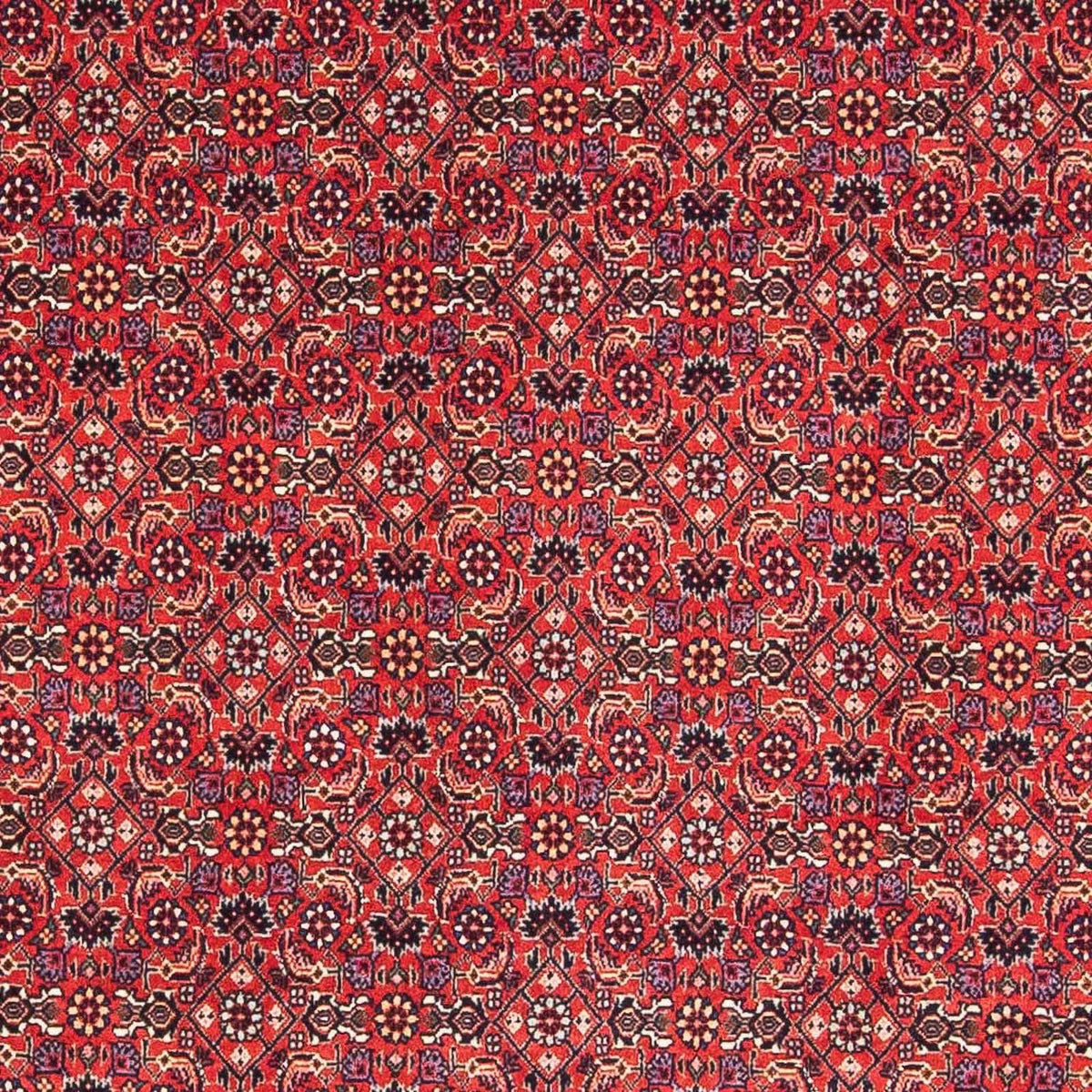 Perserteppich - Bidjar - Royal 126 x 124 cm Teppich Quadratisch