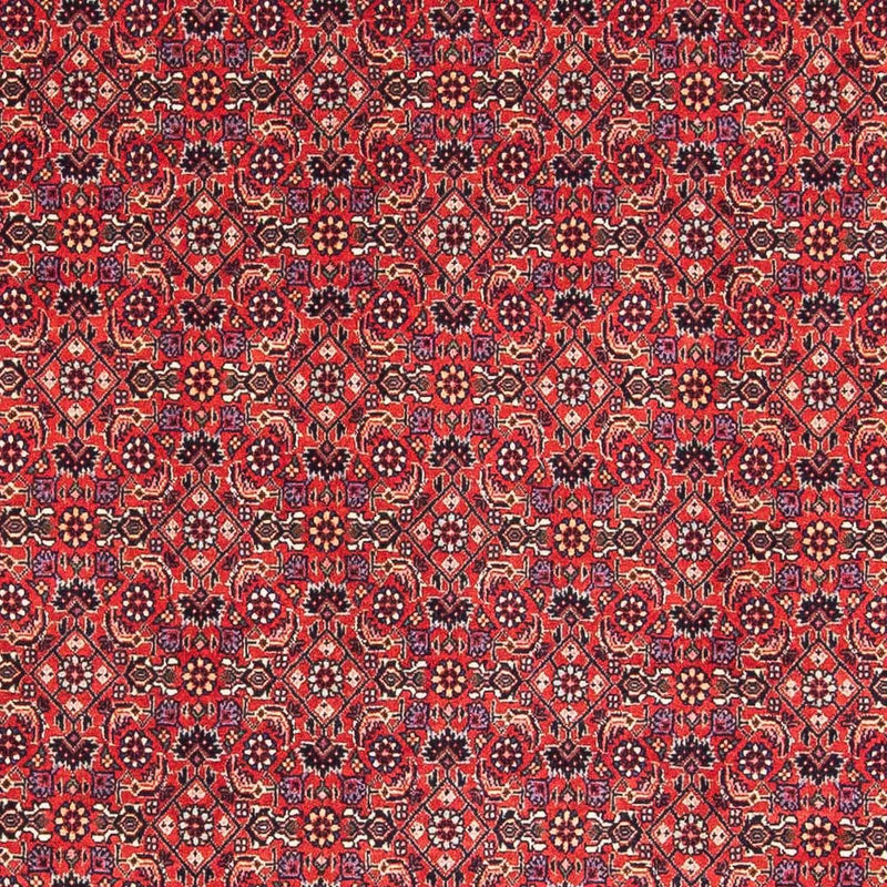 Perserteppich - Bidjar - Royal 126 x 124 cm Teppich Quadratisch