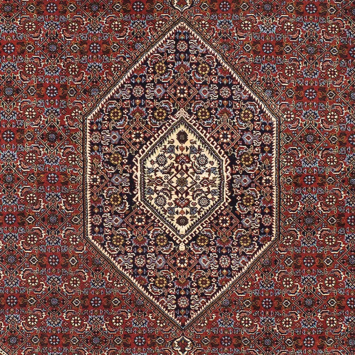 Perserteppich - Bidjar - Royal 205 x 139 cm