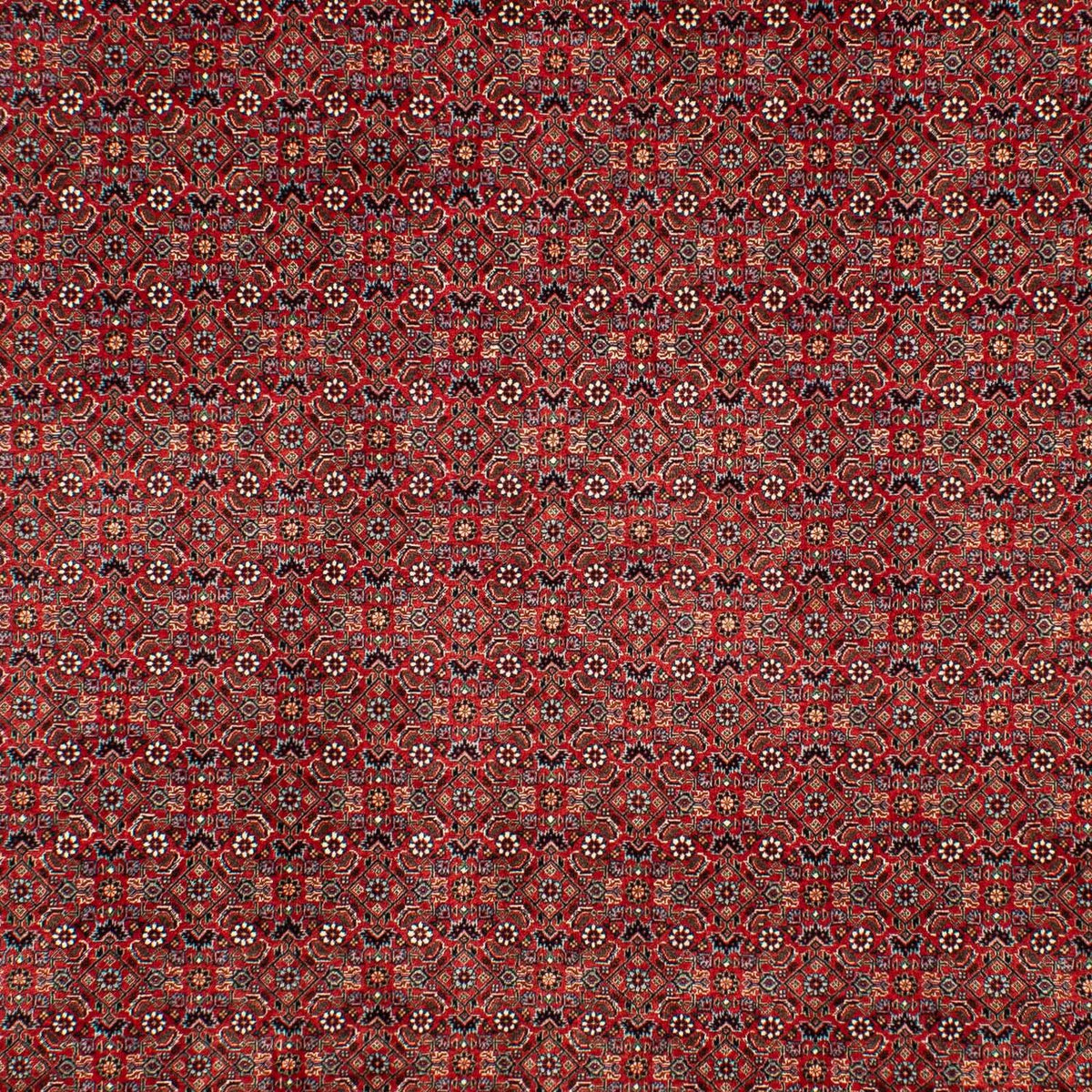 Perserteppich - Bidjar 298 x 205 cm