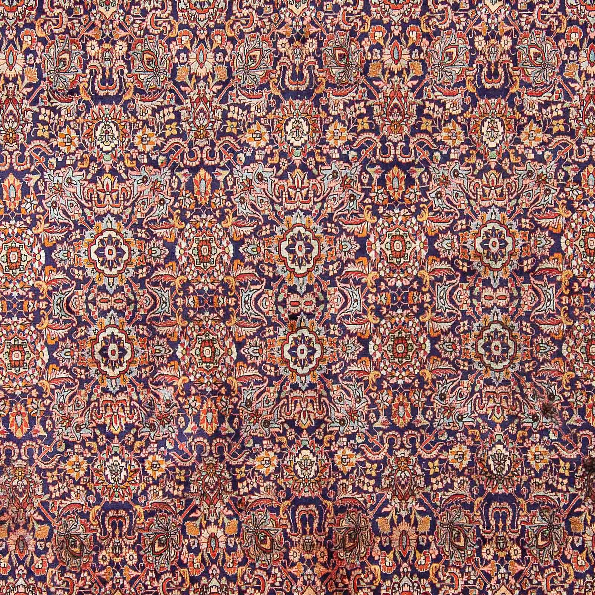 Perserteppich - Bidjar - Royal 385 x 300 cm