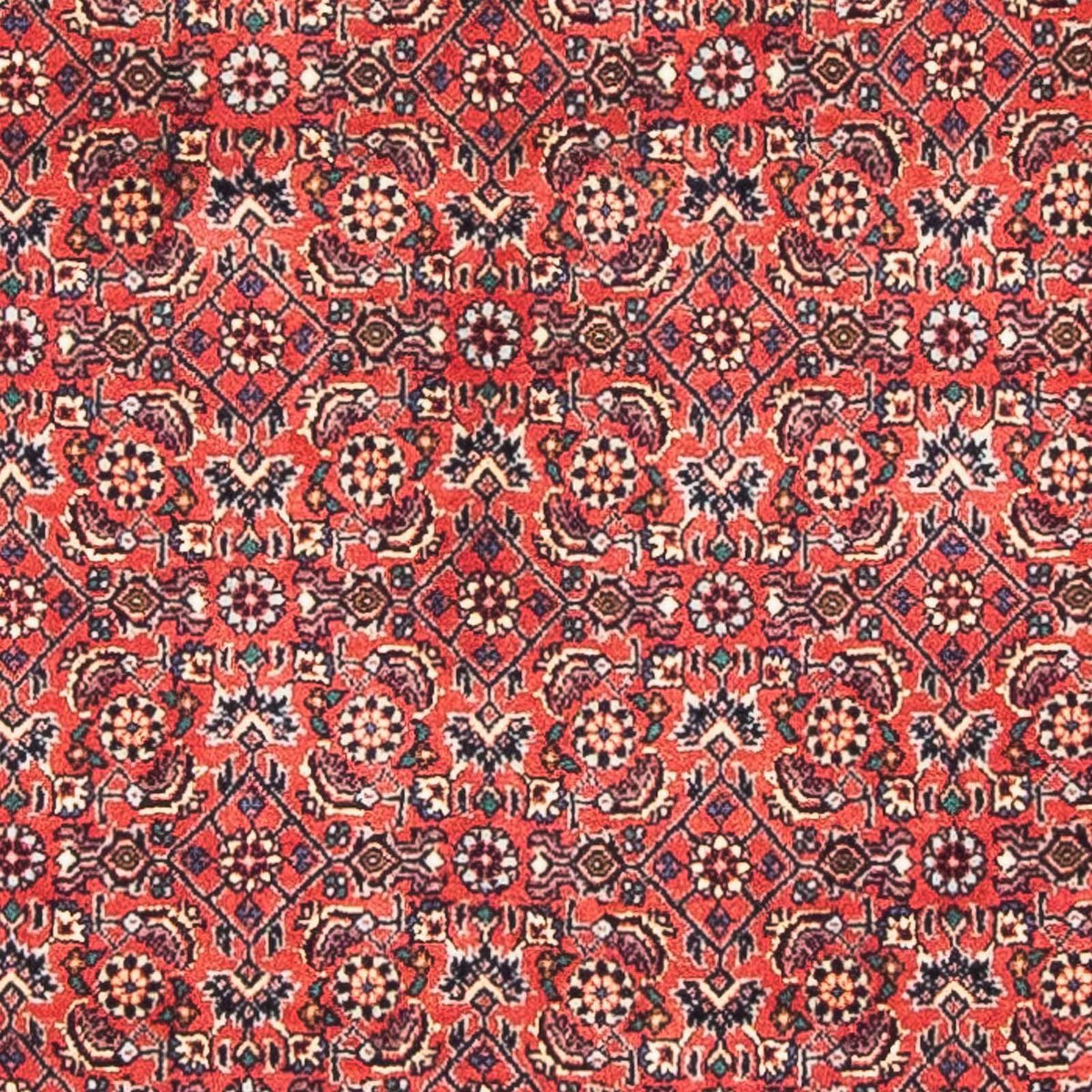 Perserteppich - Bidjar - Royal 138 x 84 cm Teppichbrücke