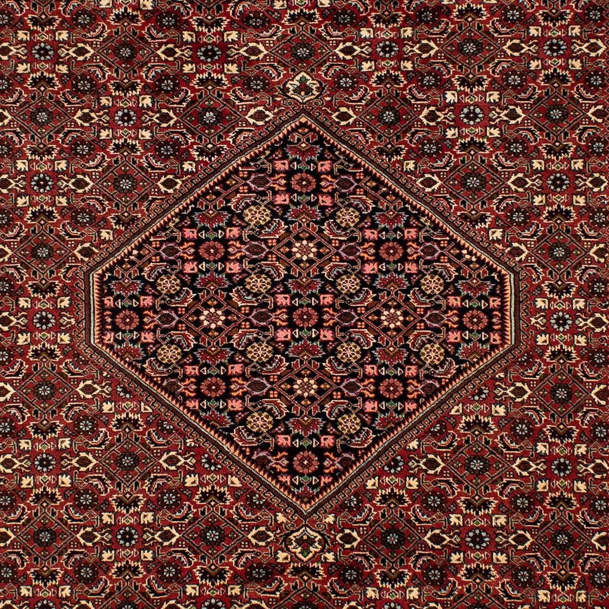 Perserteppich - Bidjar 297 x 202 cm