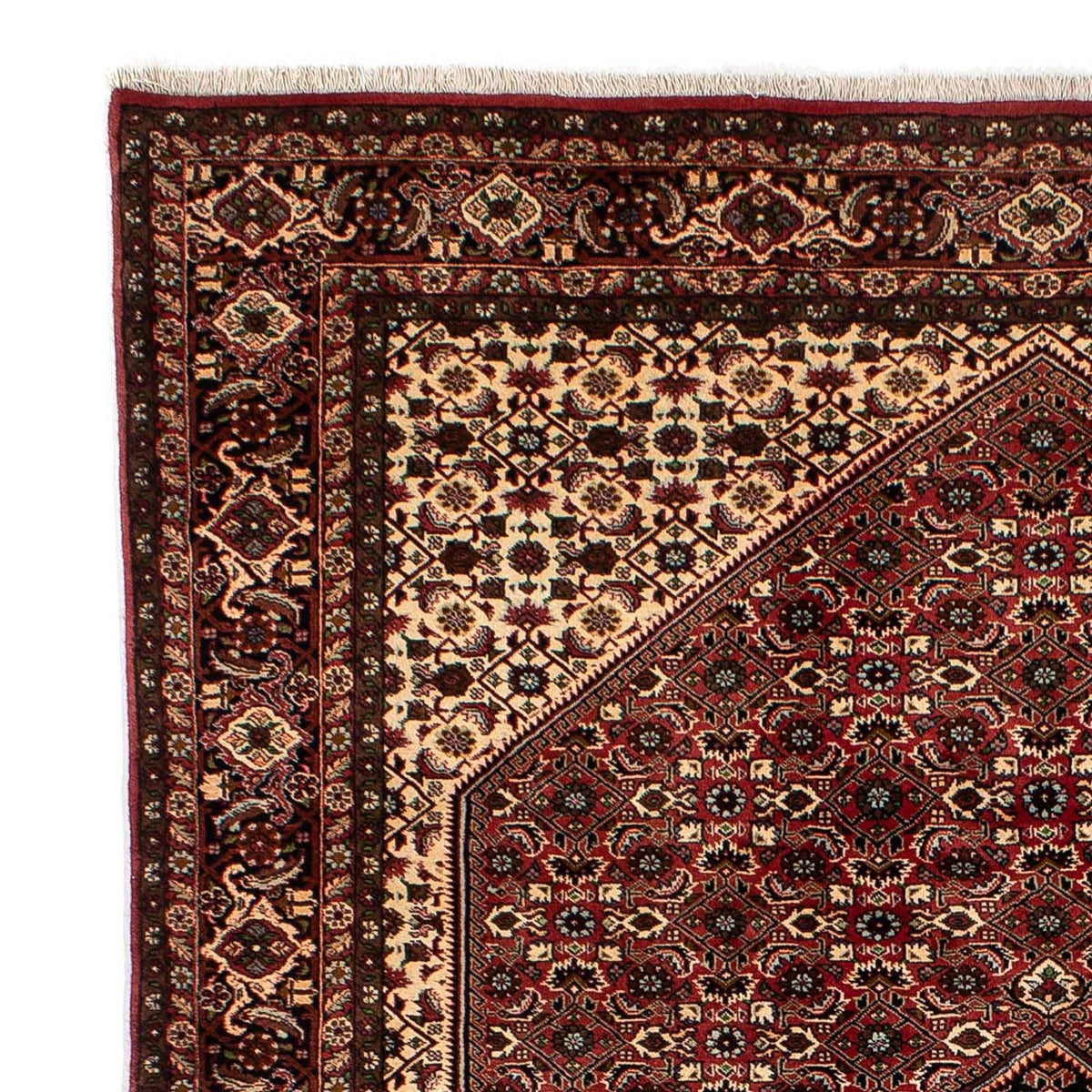 Perserteppich - Bidjar 297 x 202 cm