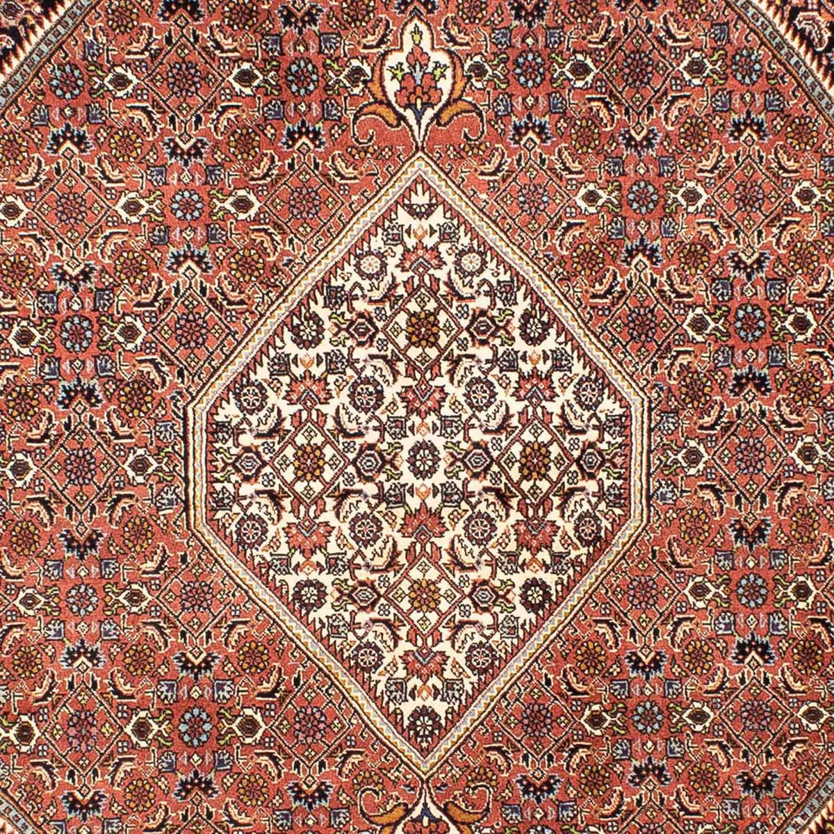 Perserteppich - Bidjar 242 x 165 cm