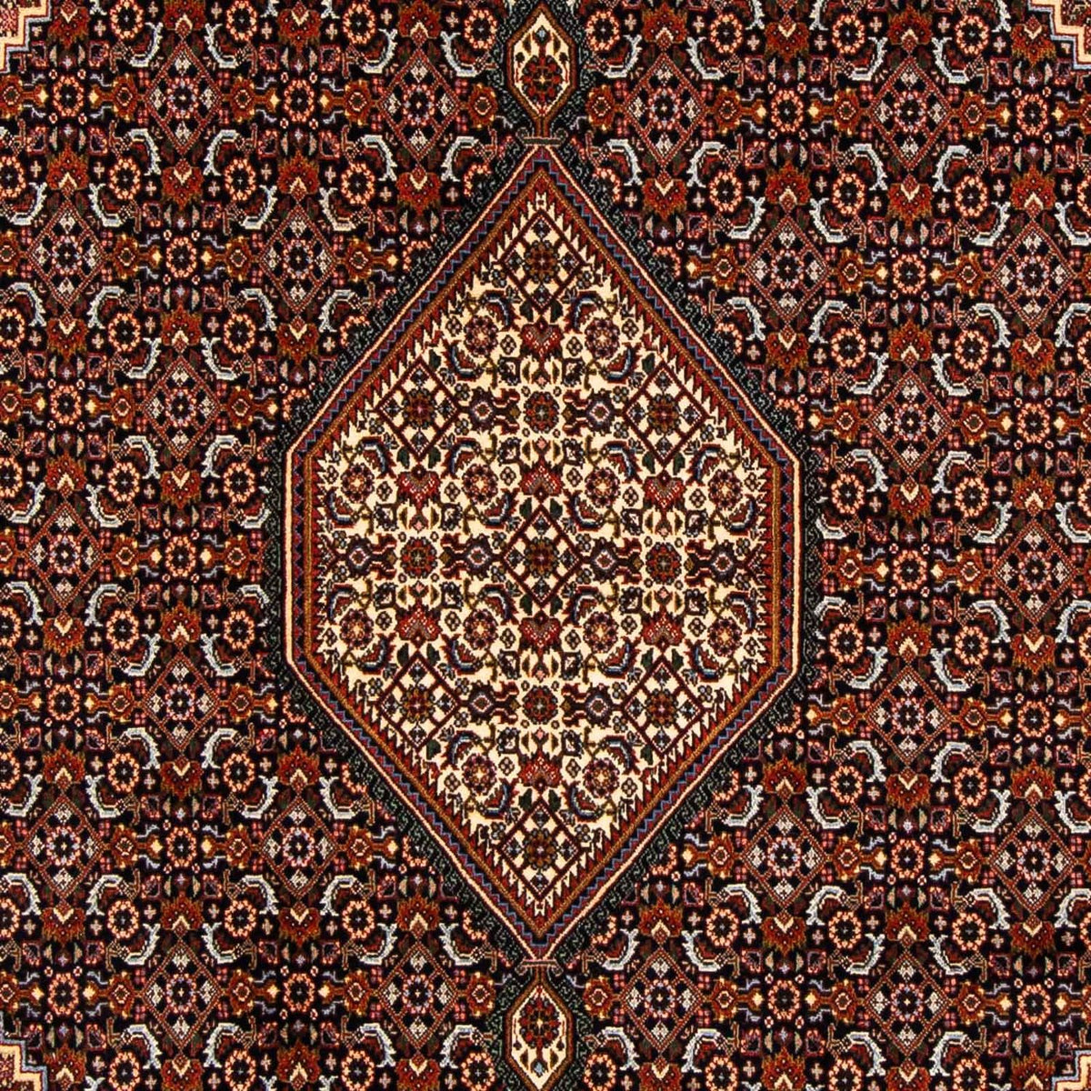 Perserteppich - Bidjar 270 x 167 cm