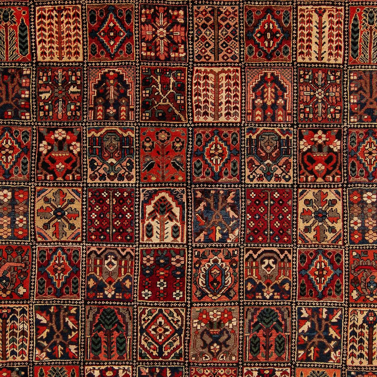 Ziegler Teppich - Bachtiari 351 x 302 cm