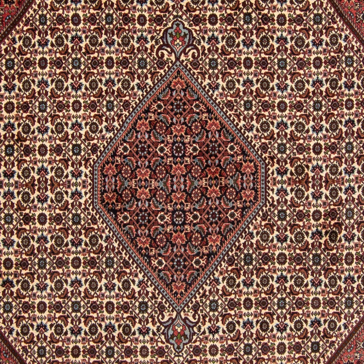 Perserteppich - Bidjar 343 x 252 cm