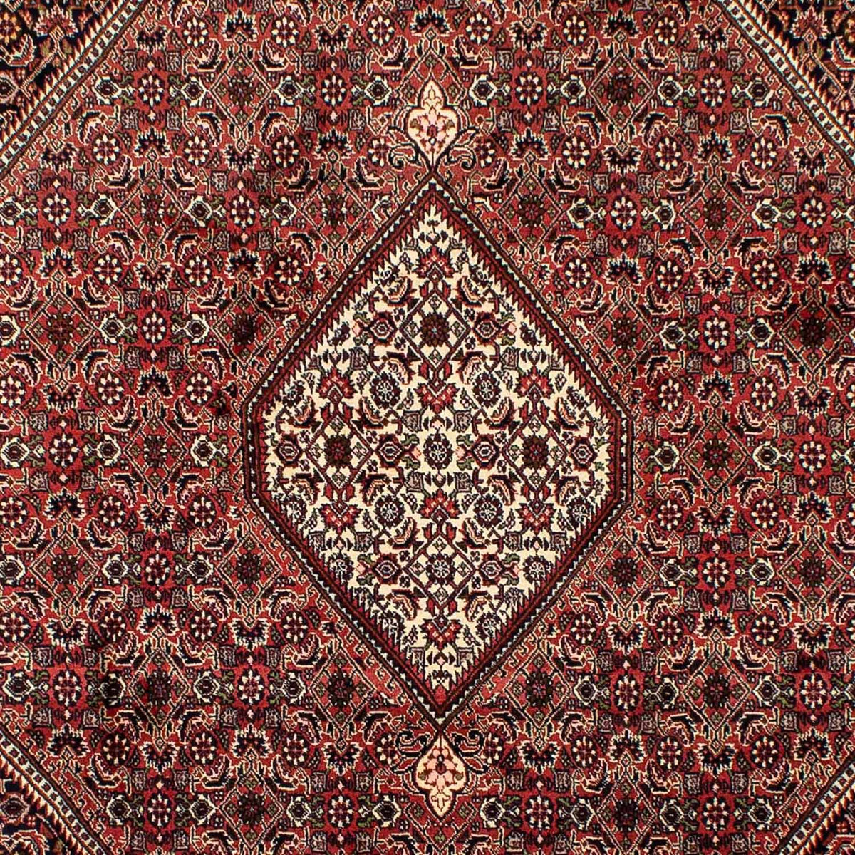 Perserteppich - Bidjar 292 x 200 cm