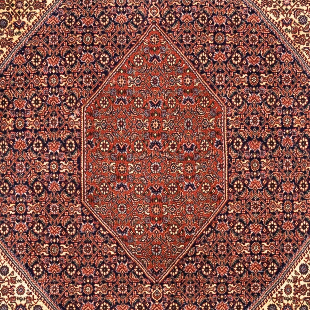 Perserteppich - Bidjar - Royal 340 x 254 cm - rot