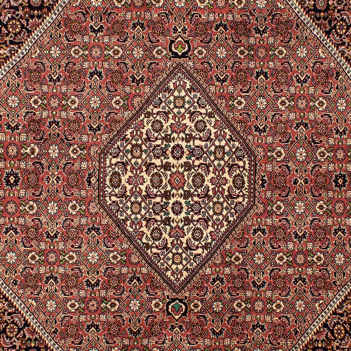 Perserteppich - Bidjar 290 x 200 cm