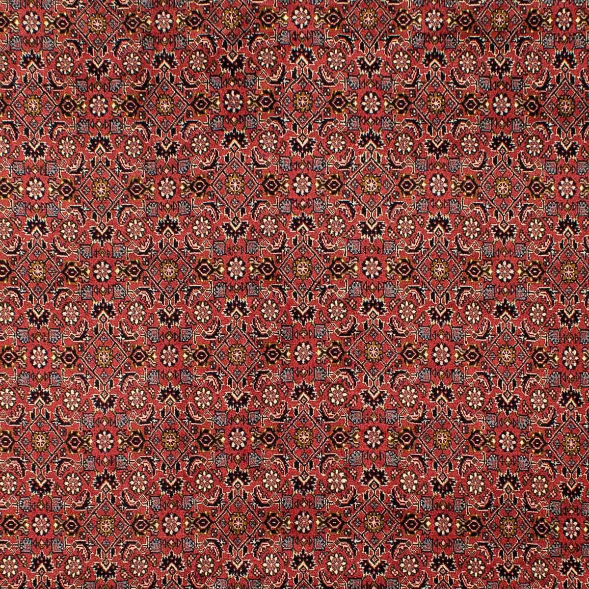 Perserteppich - Bidjar 293 x 206 cm