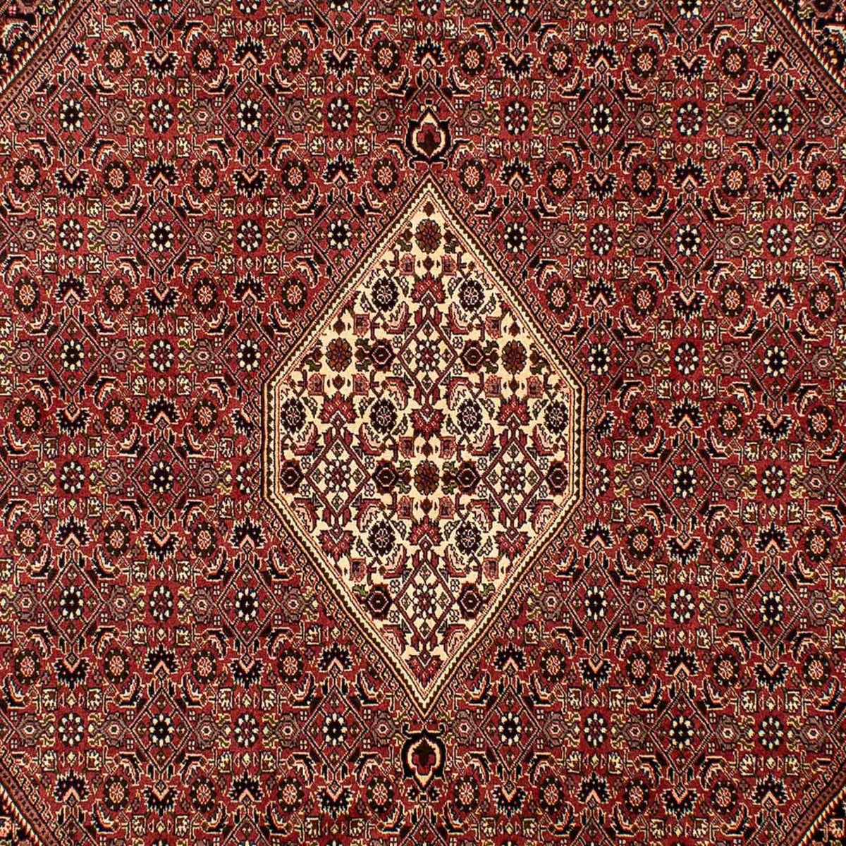 Perserteppich - Bidjar 288 x 200 cm