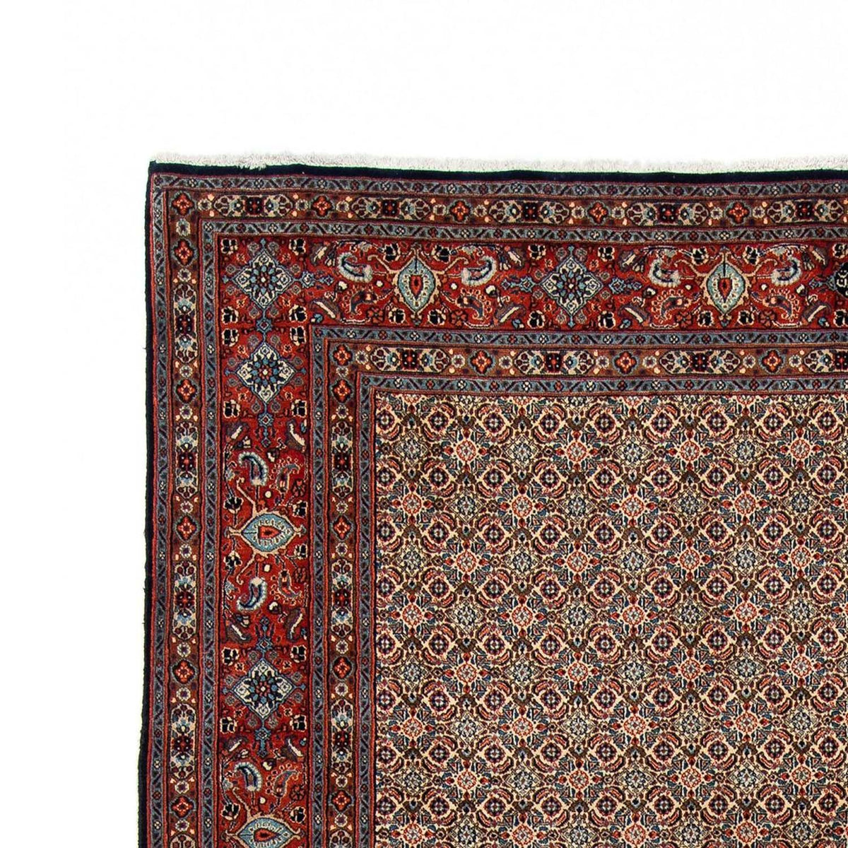 Perserteppich - Classic 303 x 204 cm - beige
