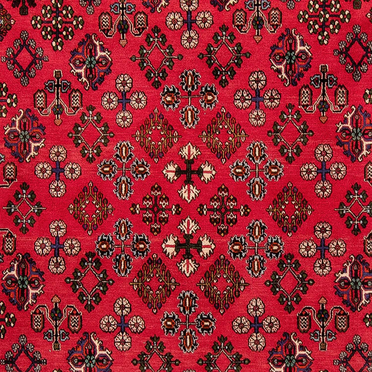 Perserteppich - Nomadic 330 x 240 cm