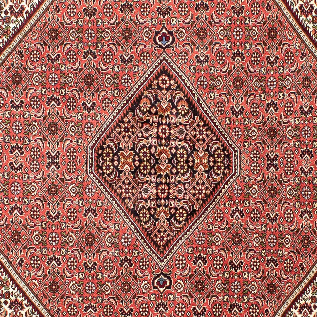 Perserteppich - Bidjar 243 x 174 cm