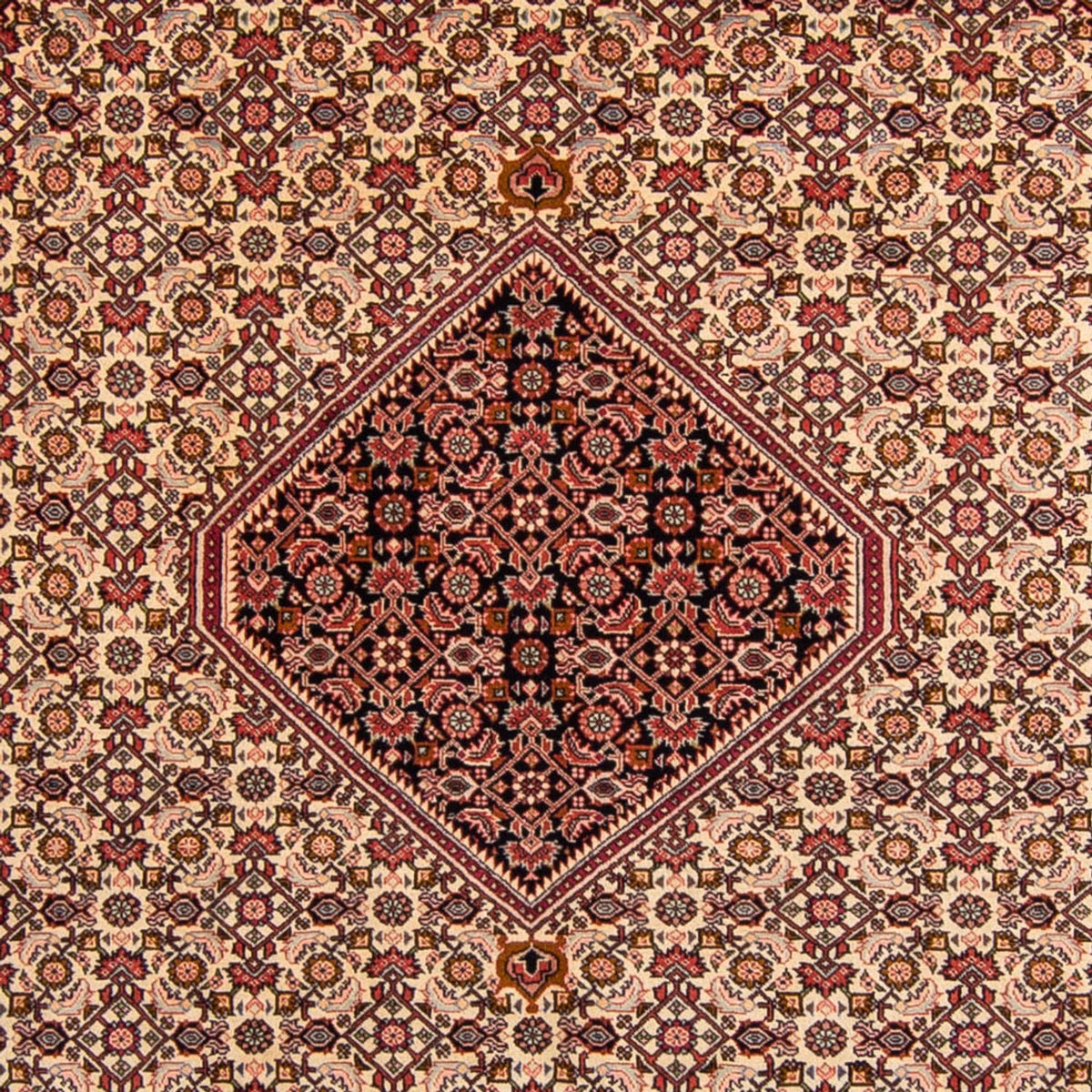 Perserteppich - Bidjar 330 x 247 cm