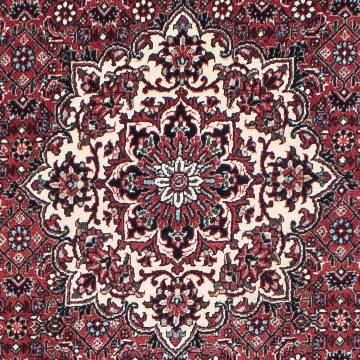 Perserteppich - Bidjar - Royal 206 x 75 cm